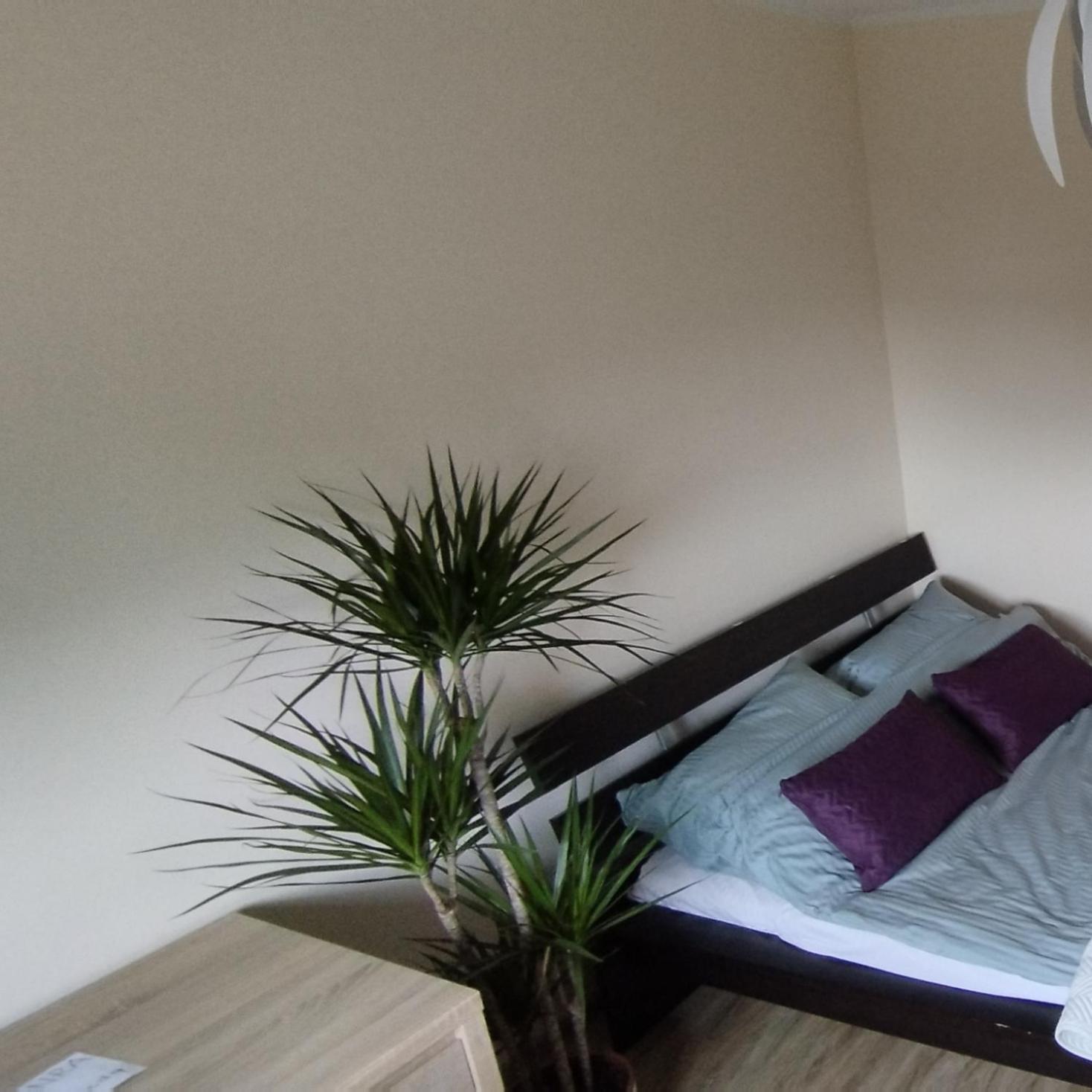 Apartament A8 Gdynia Orlowo Buitenkant foto